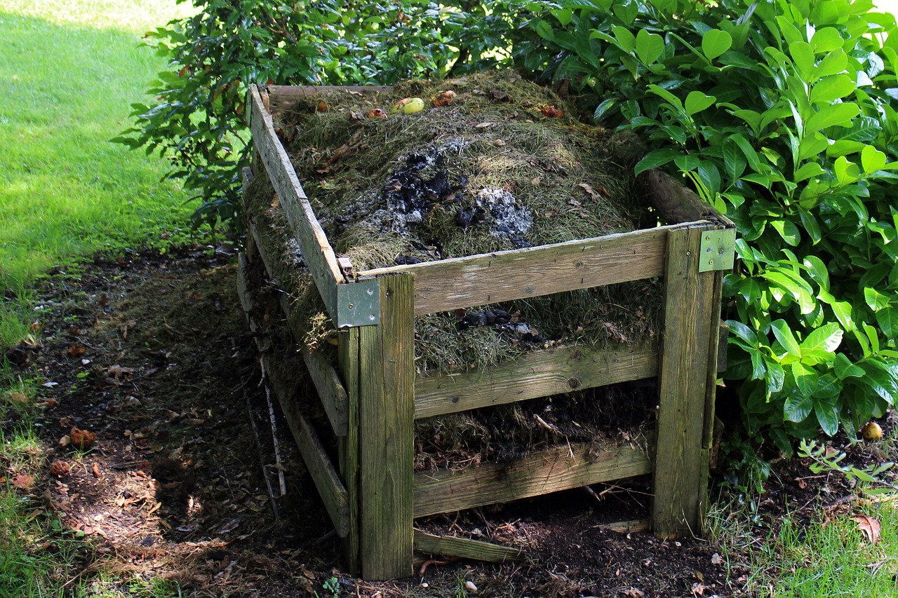 How to Compost Your Kitchen Scraps